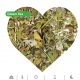 blooming tea 80x80 - Oolong green tea