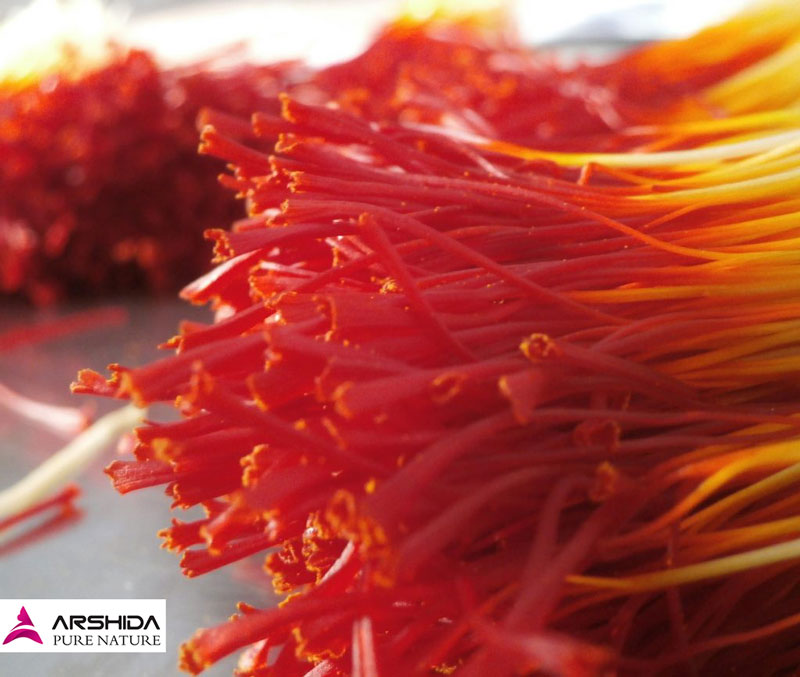 Sargol Saffron sargol arshidatrading - Sargol Saffron