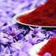 Effects of Saffron Extract and Its Constituent Crocin on Learning Behaviour and Long-Term Potentiation