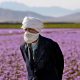 How saffron can be effective