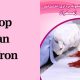 shop Iran saffron